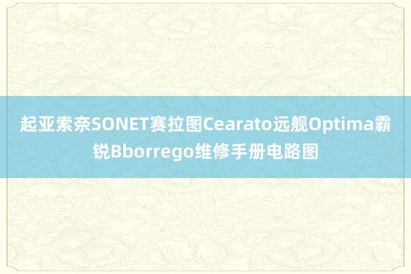 起亚索奈SONET赛拉图Cearato远舰Optima霸锐Bborrego维修手册电路图