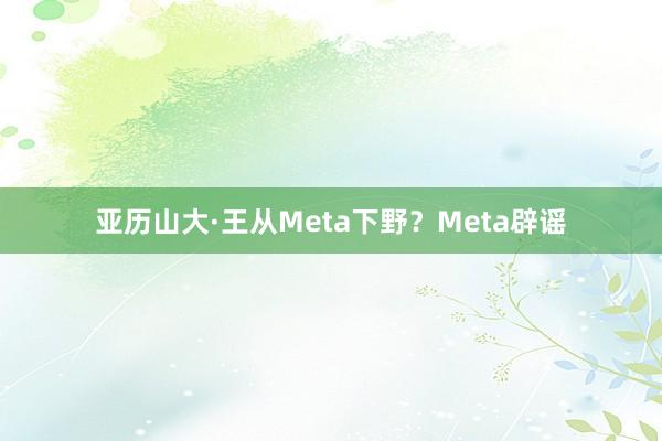 亚历山大·王从Meta下野？Meta辟谣
