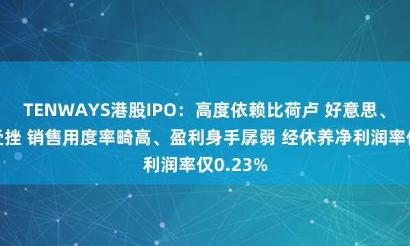 TENWAYS港股IPO：高度依赖比荷卢 好意思、德市集受挫 销售用度率畸高、盈利身手孱弱 经休养净利润率仅0.23%