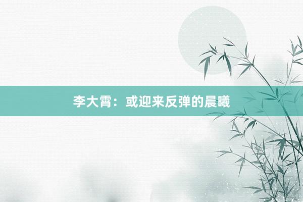 李大霄：或迎来反弹的晨曦