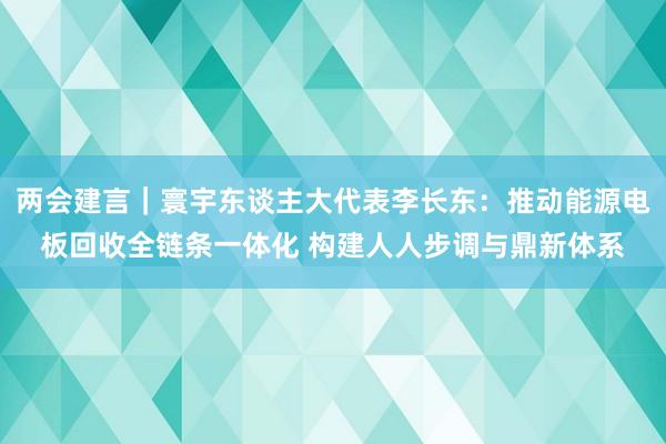 两会建言｜寰宇东谈主大代表李长东：推动能源电板回收全链条一体化 构建人人步调与鼎新体系