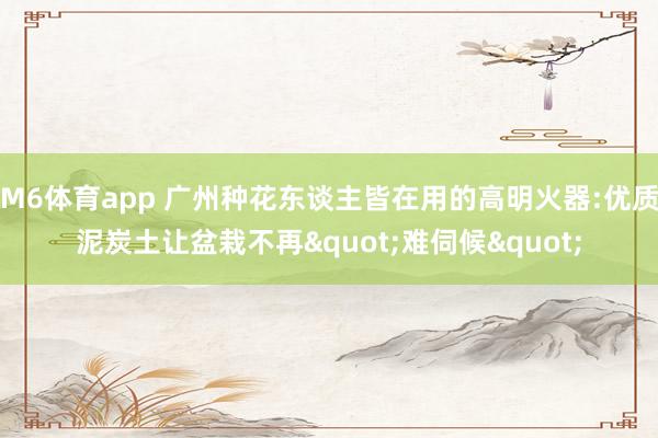 M6体育app 广州种花东谈主皆在用的高明火器:优质泥炭土让盆栽不再"难伺候"