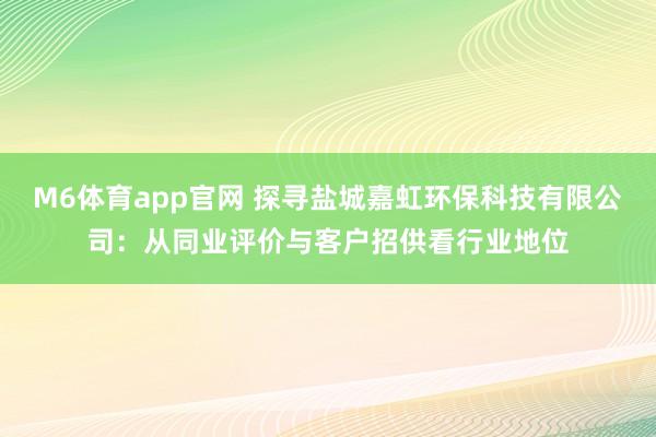 M6体育app官网 探寻盐城嘉虹环保科技有限公司：从同业评价与客户招供看行业地位