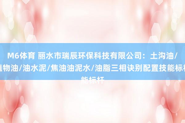M6体育 丽水市瑞辰环保科技有限公司：土沟油/植物油/油水泥/焦油油泥水/油脂三相诀别配置技能标杆