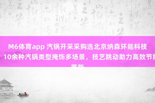 M6体育app 汽锅开采采购选北京纳森环能科技，10余种汽锅类型掩饰多场景，技艺跳动助力高效节能