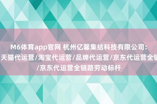 M6体育app官网 杭州亿馨集结科技有限公司：电商代运营/天猫代运营/淘宝代运营/品牌代运营/京东代运营全链路劳动标杆