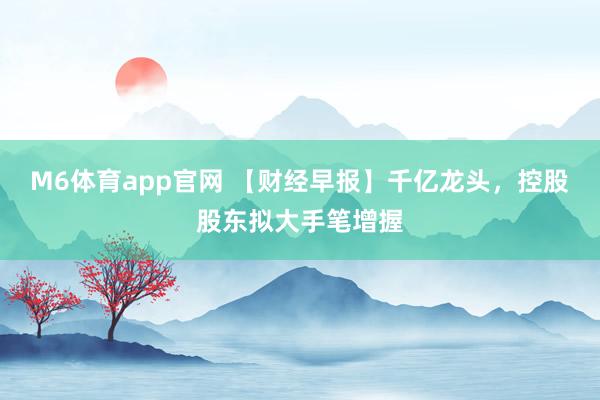 M6体育app官网 【财经早报】千亿龙头，控股股东拟大手笔增握