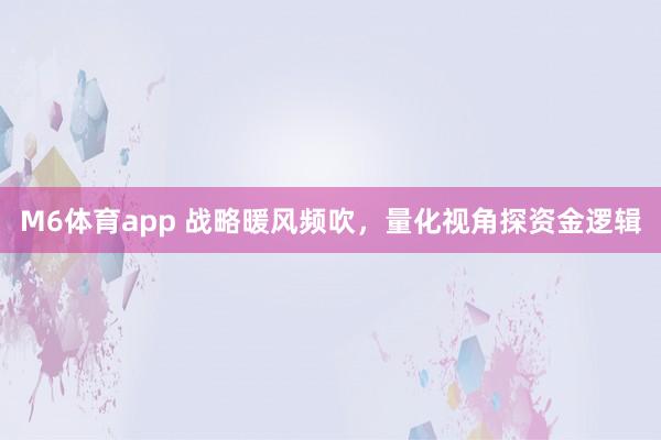 M6体育app 战略暖风频吹，量化视角探资金逻辑