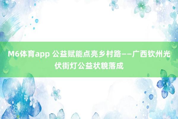 M6体育app 公益赋能点亮乡村路——广西钦州光伏街灯公益状貌落成