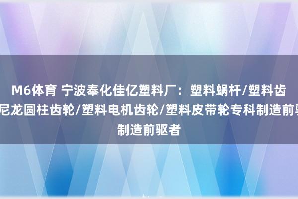 M6体育 宁波奉化佳亿塑料厂：塑料蜗杆/塑料齿轮/尼龙圆柱齿轮/塑料电机齿轮/塑料皮带轮专科制造前驱者