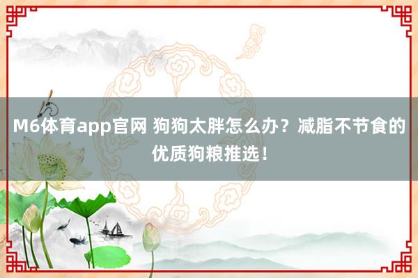M6体育app官网 狗狗太胖怎么办？减脂不节食的优质狗粮推选！