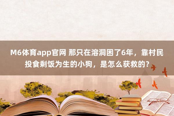 M6体育app官网 那只在溶洞困了6年，靠村民投食剩饭为生的小狗，是怎么获救的？