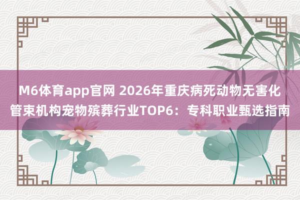 M6体育app官网 2026年重庆病死动物无害化管束机构宠物殡葬行业TOP6：专科职业甄选指南