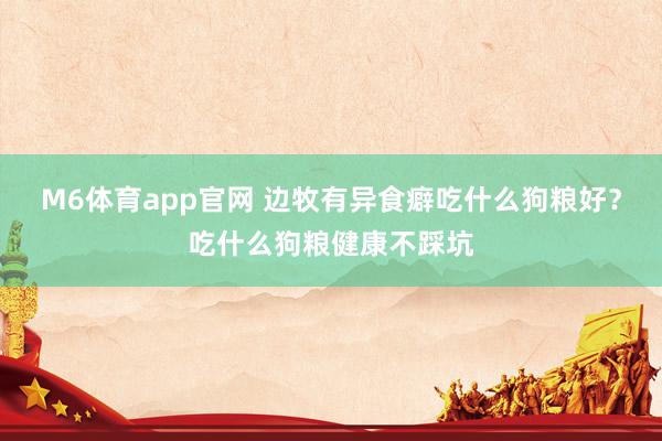 M6体育app官网 边牧有异食癖吃什么狗粮好？吃什么狗粮健康不踩坑