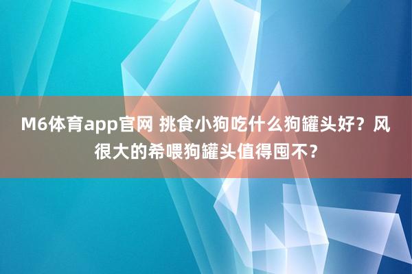M6体育app官网 挑食小狗吃什么狗罐头好？风很大的希喂狗罐头值得囤不？