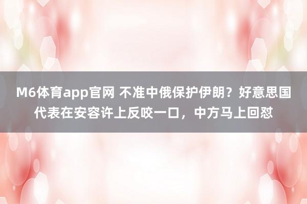 M6体育app官网 不准中俄保护伊朗？好意思国代表在安容许上反咬一口，中方马上回怼