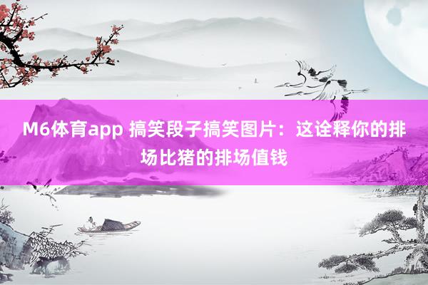 M6体育app 搞笑段子搞笑图片：这诠释你的排场比猪的排场值钱