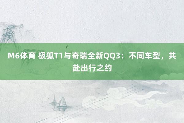 M6体育 极狐T1与奇瑞全新QQ3：不同车型，共赴出行之约