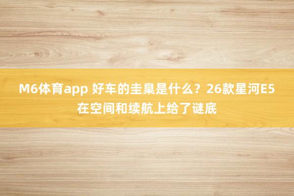 M6体育app 好车的圭臬是什么？26款星河E5在空间和续航上给了谜底