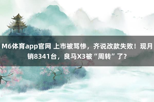 M6体育app官网 上市被骂惨，齐说改款失败！现月销8341台，良马X3被“周转”了？