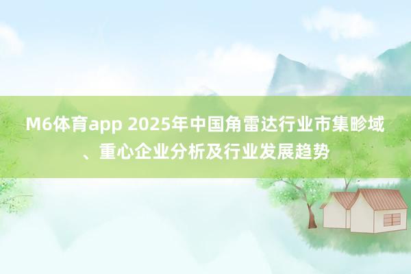 M6体育app 2025年中国角雷达行业市集畛域、重心企业分析及行业发展趋势