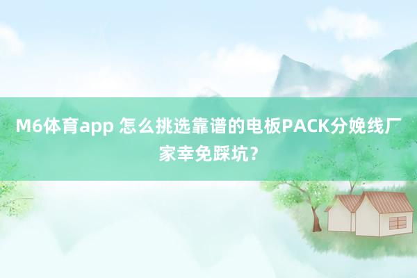 M6体育app 怎么挑选靠谱的电板PACK分娩线厂家幸免踩坑？