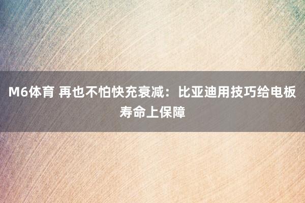M6体育 再也不怕快充衰减：比亚迪用技巧给电板寿命上保障