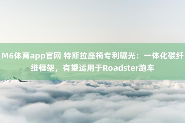 M6体育app官网 特斯拉座椅专利曝光：一体化碳纤维框架，有望运用于Roadster跑车
