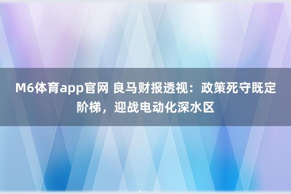 M6体育app官网 良马财报透视：政策死守既定阶梯，迎战电动化深水区