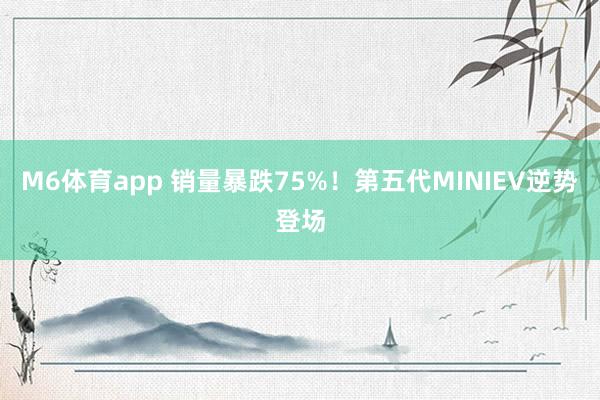M6体育app 销量暴跌75%！第五代MINIEV逆势登场