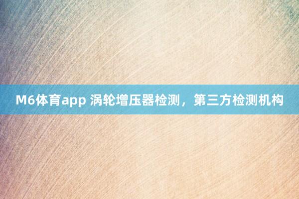 M6体育app 涡轮增压器检测，第三方检测机构