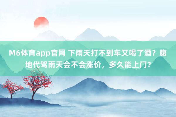 M6体育app官网 下雨天打不到车又喝了酒？腹地代驾雨天会不会涨价，多久能上门？