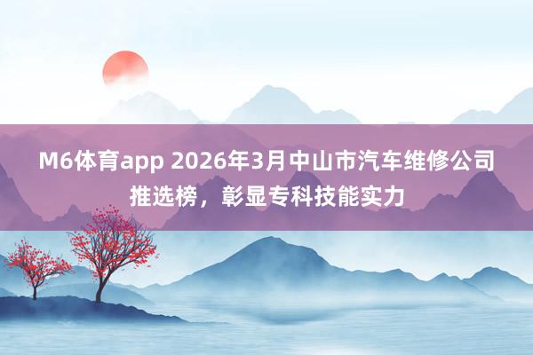 M6体育app 2026年3月中山市汽车维修公司推选榜，彰显专科技能实力