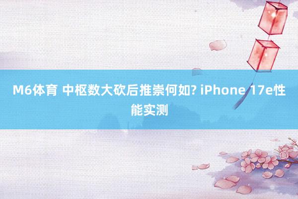 M6体育 中枢数大砍后推崇何如? iPhone 17e性能实测