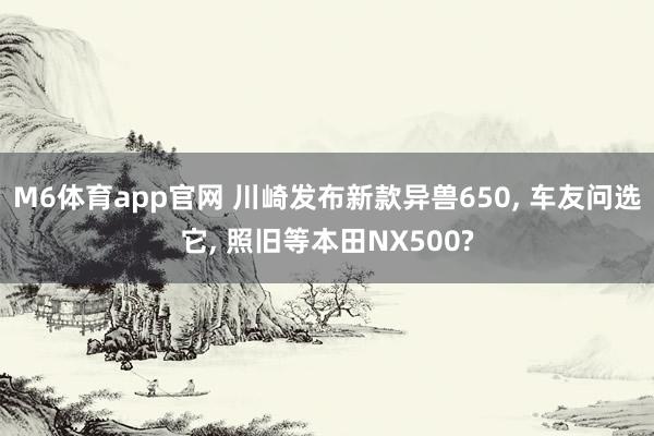 M6体育app官网 川崎发布新款异兽650, 车友问选它, 照旧等本田NX500?