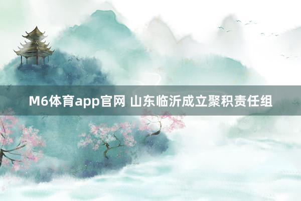 M6体育app官网 山东临沂成立聚积责任组