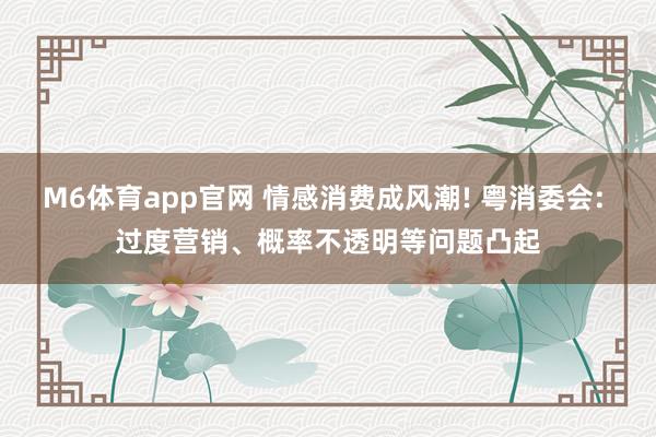 M6体育app官网 情感消费成风潮! 粤消委会: 过度营销、概率不透明等问题凸起