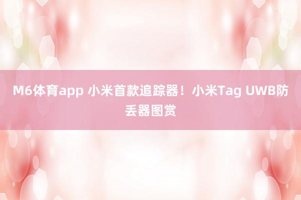 M6体育app 小米首款追踪器！小米Tag UWB防丢器图赏