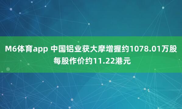 M6体育app 中国铝业获大摩增握约1078.01万股 每股作价约11.22港元