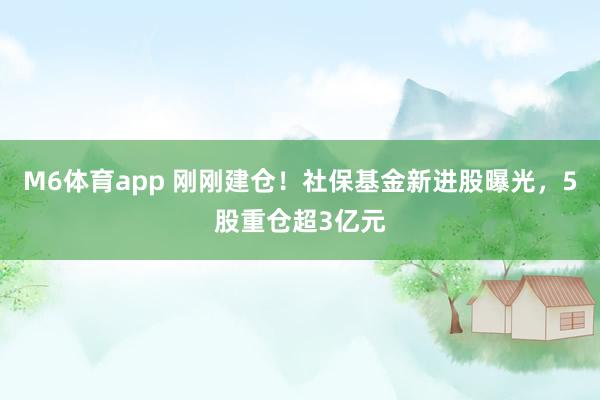 M6体育app 刚刚建仓！社保基金新进股曝光，5股重仓超3亿元