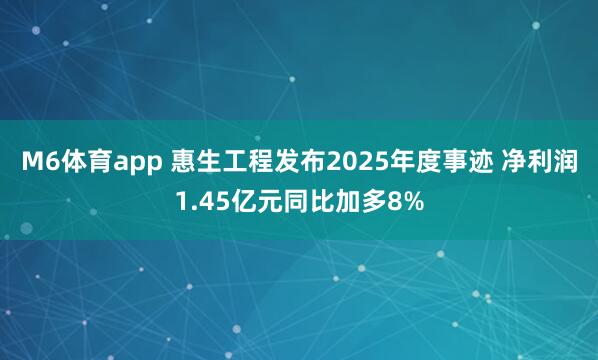 M6体育app 惠生工程发布2025年度事迹 净利润1.45亿元同比加多8%