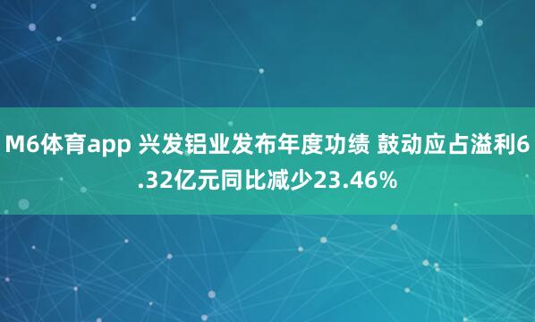 M6体育app 兴发铝业发布年度功绩 鼓动应占溢利6.32亿元同比减少23.46%