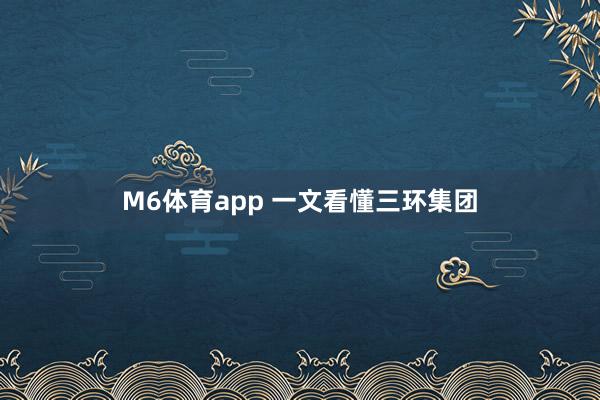 M6体育app 一文看懂三环集团