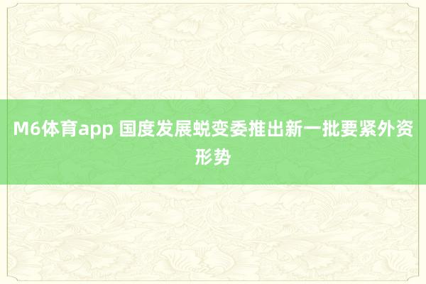 M6体育app 国度发展蜕变委推出新一批要紧外资形势
