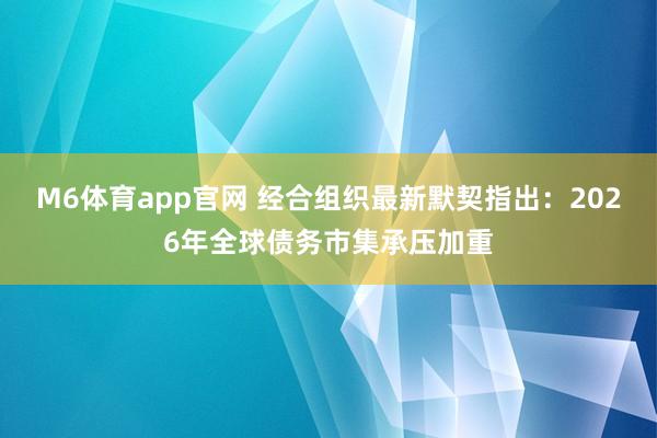 M6体育app官网 经合组织最新默契指出：2026年全球债务市集承压加重