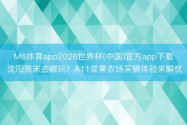 M6体育app2026世界杯(中国)官方app下载 沈阳周末去哪玩？A11浆果农场采摘体验来解忧