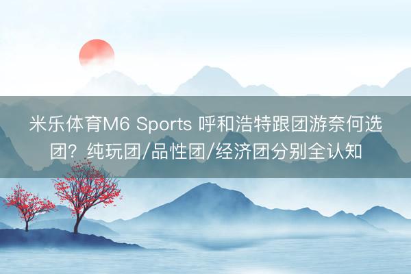 米乐体育M6 Sports 呼和浩特跟团游奈何选团？纯玩团/品性团/经济团分别全认知