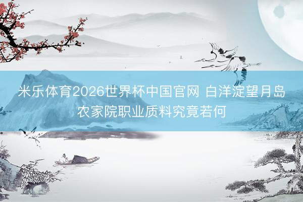 米乐体育2026世界杯中国官网 白洋淀望月岛农家院职业质料究竟若何