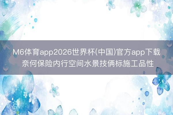 M6体育app2026世界杯(中国)官方app下载 奈何保险内行空间水景技俩标施工品性