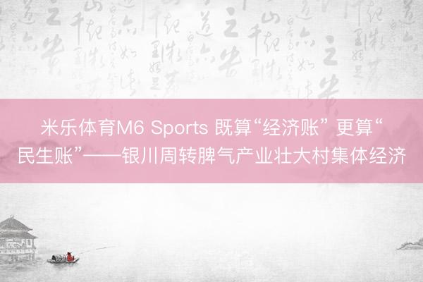 米乐体育M6 Sports 既算“经济账” 更算“民生账”——银川周转脾气产业壮大村集体经济
